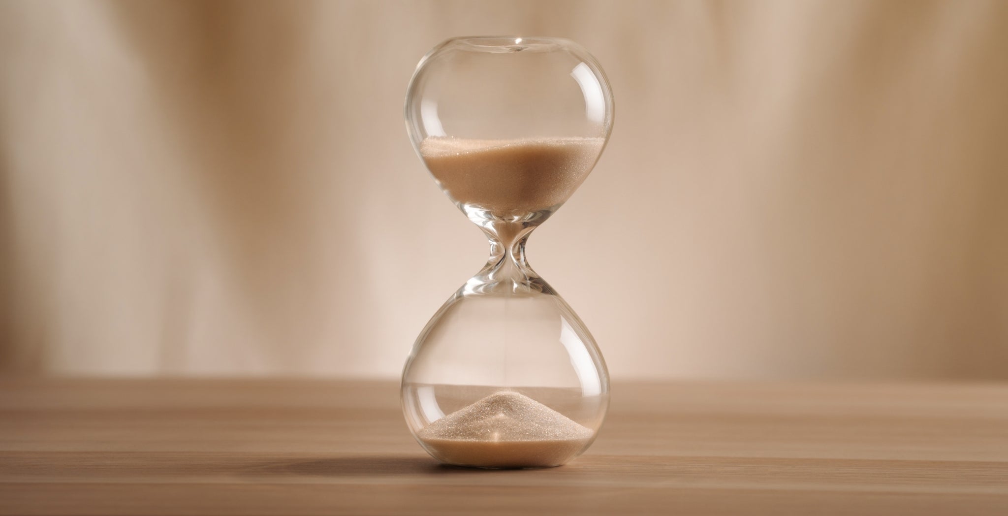 DY_Website_Builder_Designer_shopify_partner stor setup
