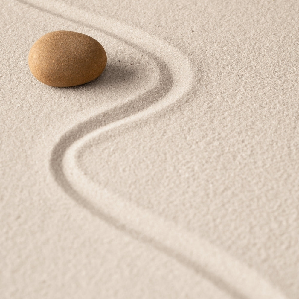 Modern Shopify Website Design for Brands